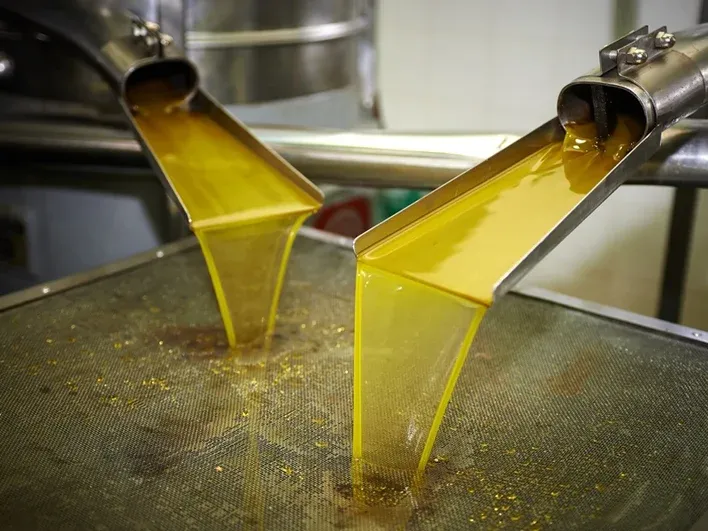 What’s the Difference Between Olive Oil and Extra Virgin? A Complete Guide